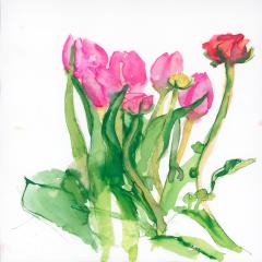 images/flowers/Razelou 8.jpg